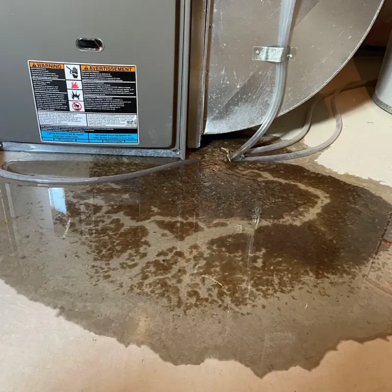 Appliance Leak Cleanup in Tyndall, SD